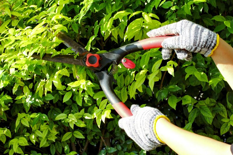 Garden Pruning